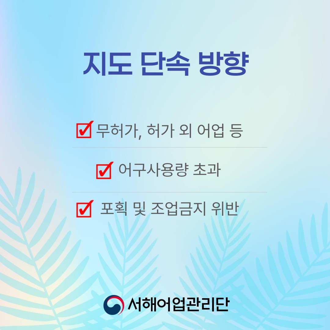 지도 단속 방향 무허가, 허가 외 어업 등 어구사용량 초과 포획 및 조업금지 위반 서해어업관리단